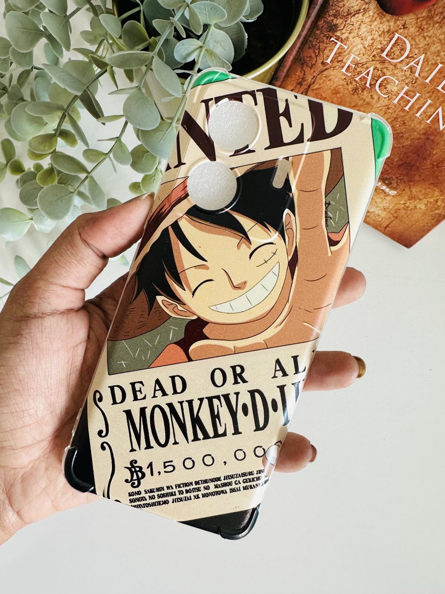 Money D luffy case